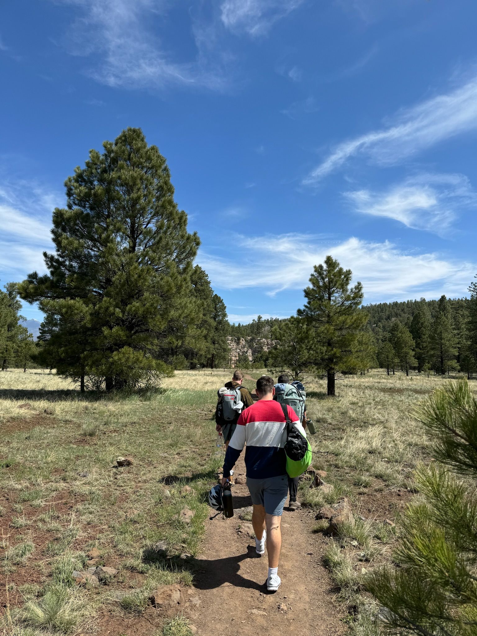 Group of people pictured from behind walking through wilderness with equipment
